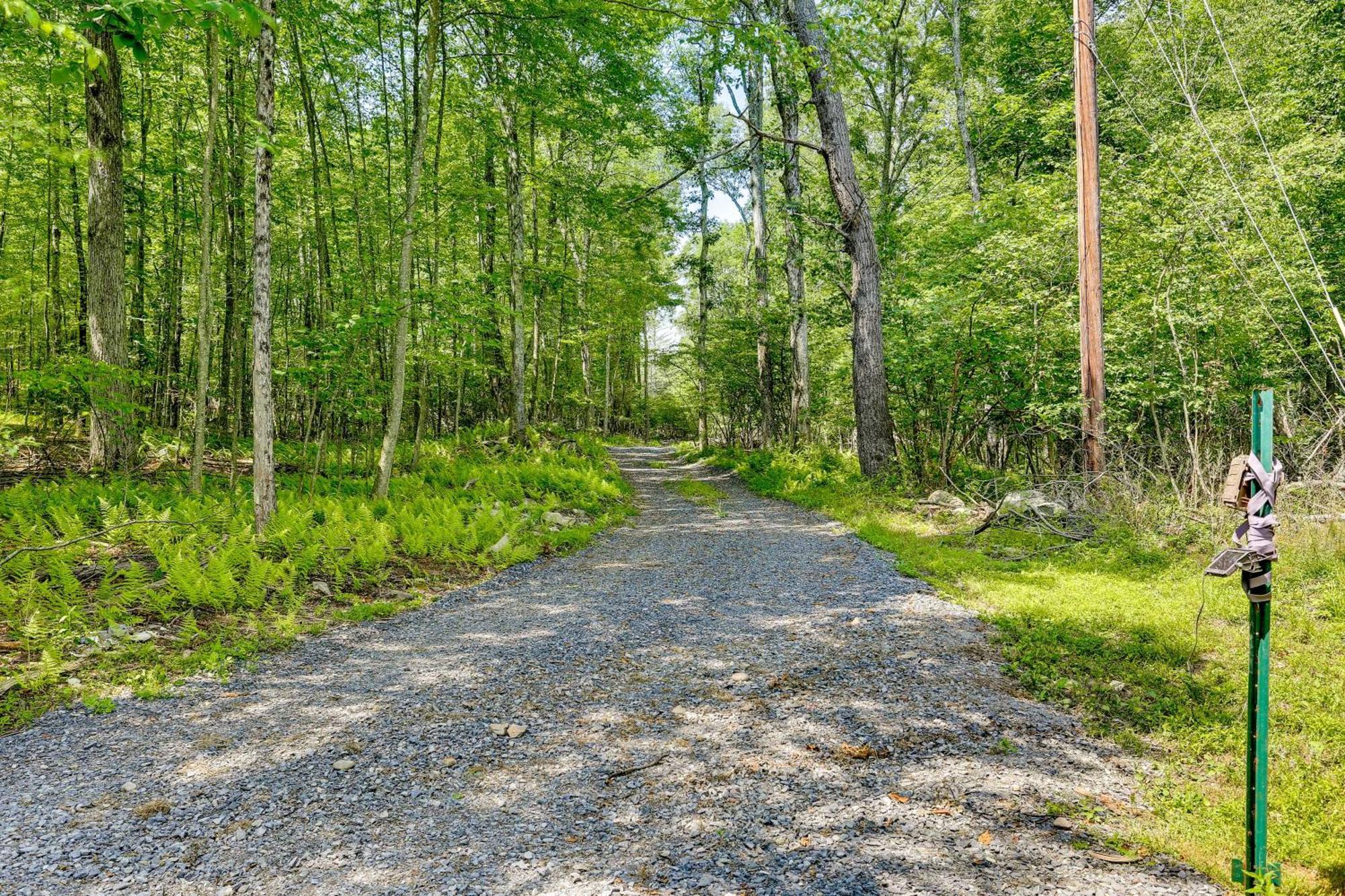 Secluded Poconos Cabin With Fire Pit On 75 Acres! إيست سترودسبورغ المظهر الخارجي الصورة